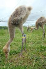 Yellow Blue Yellow on 28th June 2013 Yellow Blue Yellow on 28th June 2013